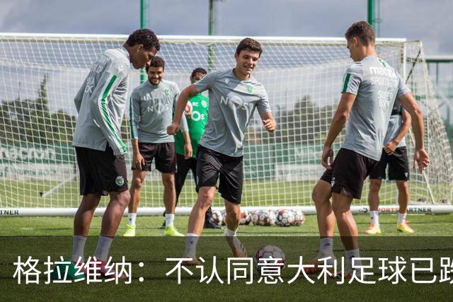 格拉维纳：不认同意大利足球已跌至最低点 对未晋级世界杯失望